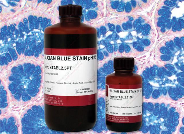 Alcian Blue Stain pH 2.5
