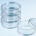 BD Falcon Easy-Grip Tissue Culture Dishes - 35 x 10 mm