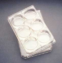 Pressure Sensitive Film for 96-Well Plates