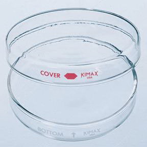 Kimble Kimax* Petri Dishes Set, Dia. X H, 100 x 20mm