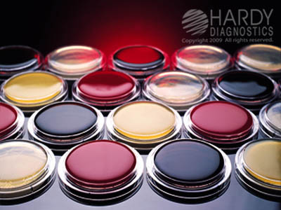 Blood Agar, 5% CP