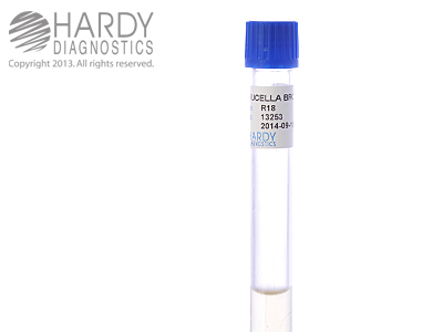 Brucella Broth, 1mL