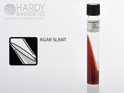 BHI Agar With Blood, Chloramphenicol & Gentamicin