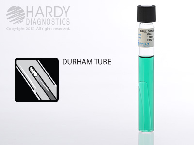 Brilliant Green Bile Broth, 10mL