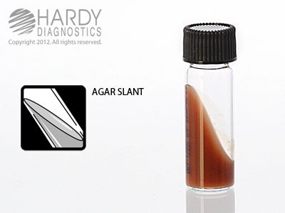 Chocolate Agar Slant <b>MINIMUM ORDER: 5 packs