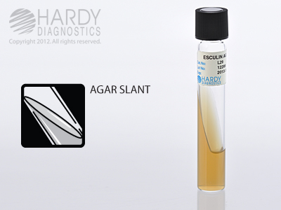 Esculin Agar Slant