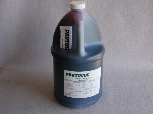 Hematoxylin ( Harris ) stain