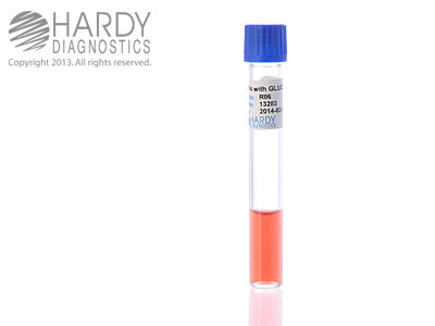 SP4 Broth with Glucose, 2mL