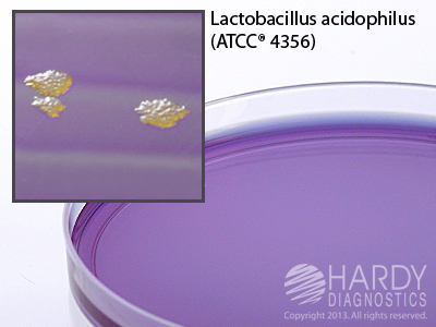 Standard Methods Agar w/Bromcresol Purple