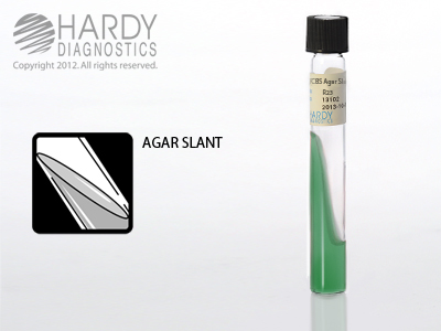 TCBS Agar Slant