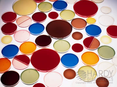 TSA/MTM (Tryptic Soy Agar/Modified Thayer Martin), 15x100mm biplate