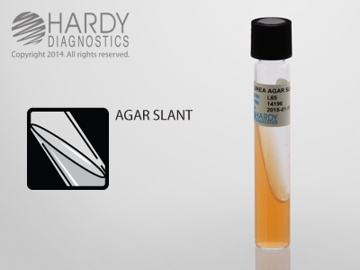 Urea Agar Slant