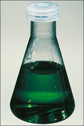 Polycarbonate Erlenmeyer Flask - 125 mL