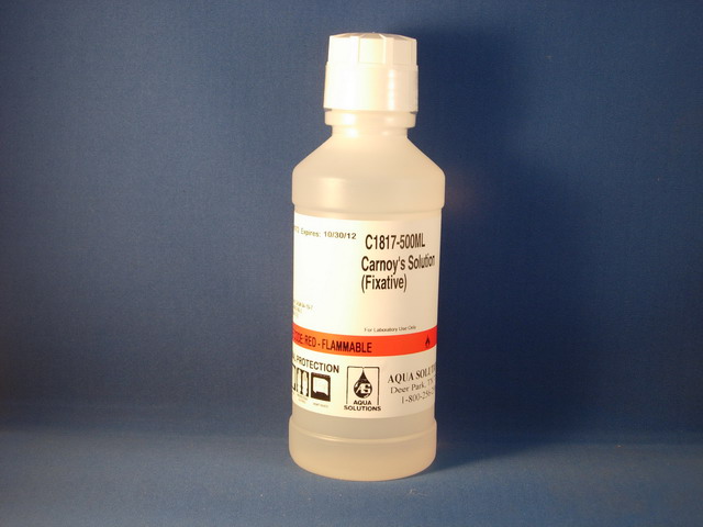 Carnoy's Solution (Fixative)