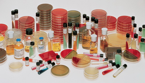 Media Plate Campy Agar W/5 Antimicrobics & 10% Sheeps Blood (Blaser)