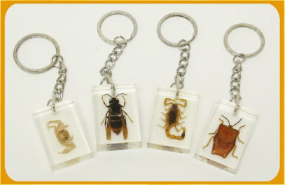 Buggin-Out - Key Chain, Red Bug