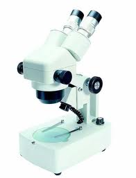 Stereo Zoom Microscope