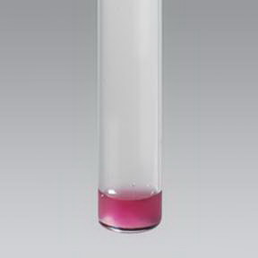 Remel Prepared Media PYR Broth to SABHI Agar, 0.5ML