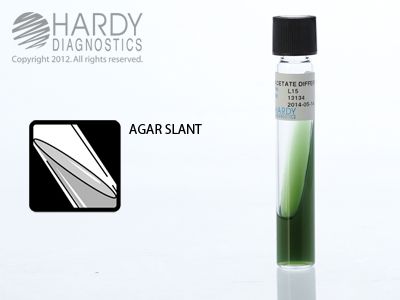 Acetate Differential Slant