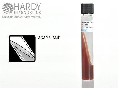 BHI Agar with Blood Slant