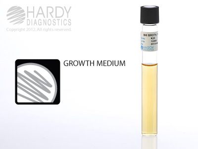 BHI Broth, 10mL