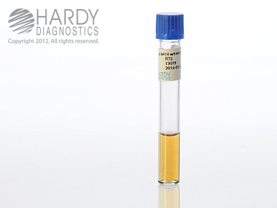BEA Broth with Vancomycin, for VRE (Vancomycin Resistant Enterococcus),