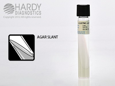 Cetrimide Select Agar Slant