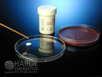 CatScreen, rapid test for Moraxella (Branhamella) catarrhalis (M. cat.)