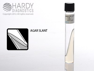 Carbon Utilization Citrate Slant, 8mL