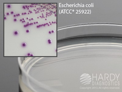 HardyCHROM Coliform EC