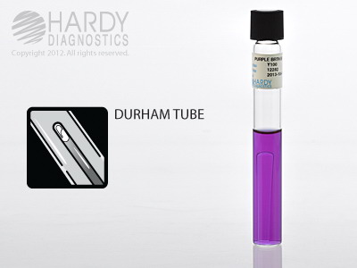 Purple Broth Base 9mL