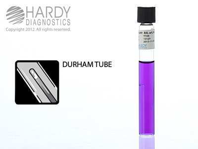 Purple Broth With Lactose, 10mL