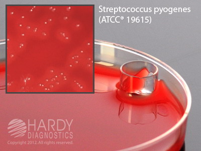 StrePlate, Selective Strep Agar Plate